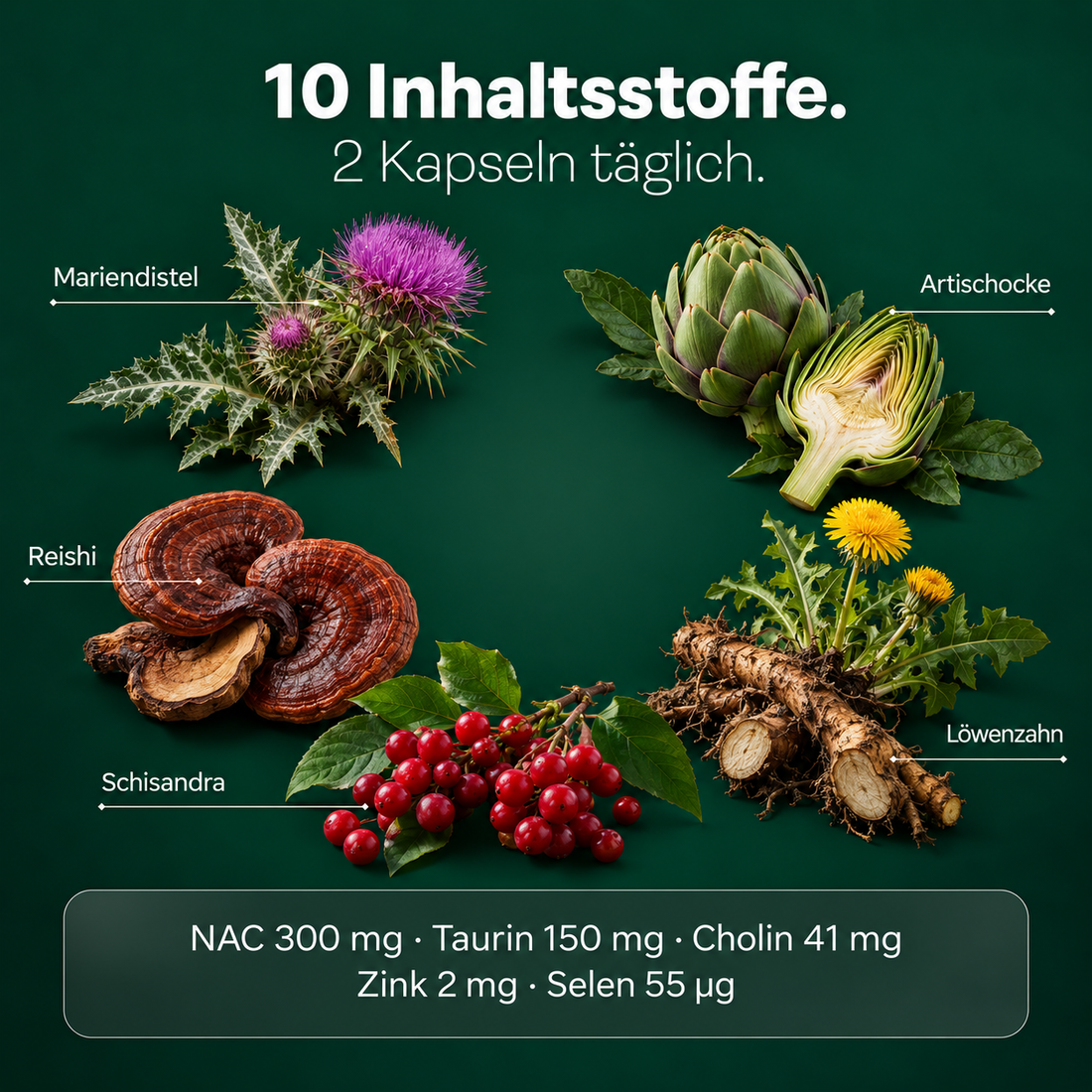 Deep Blue Restore – Leberkomplex mit Mariendistel, NAC & Cholin (120 Kapseln)