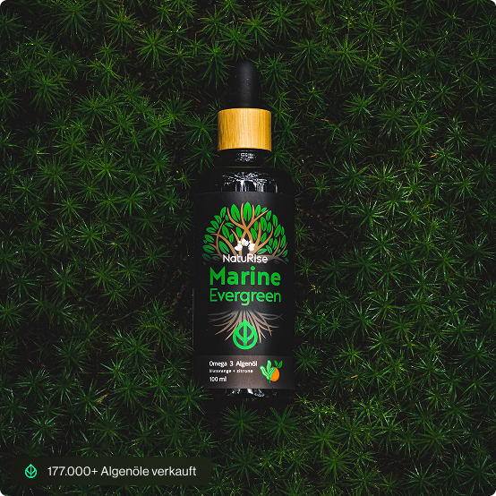 Marine Evergreen - Omega 3 Algenöl (TEST)
