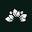 NatuRise logo
