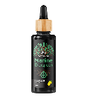 Marine Evergreen - Omega 3 Algenöl (TEST)