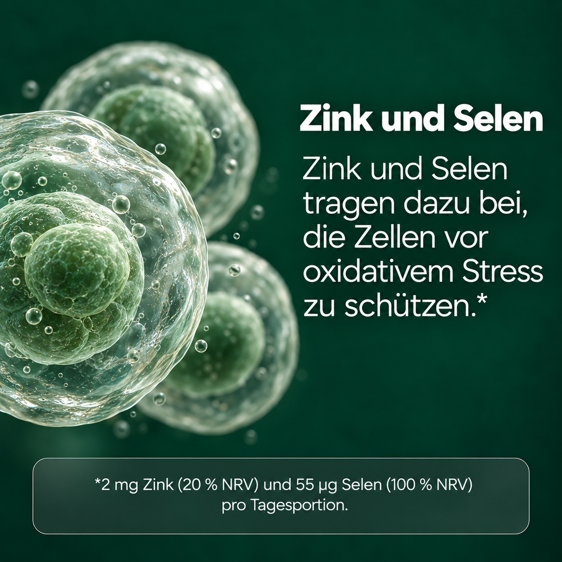 Deep Blue Restore – Leberkomplex mit Mariendistel, NAC & Cholin (120 Kapseln)