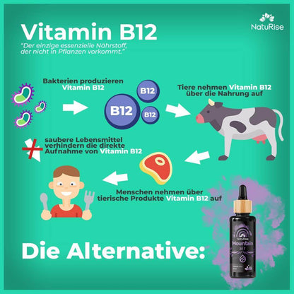 Vitamin B12 (50ml) (rabattiert)