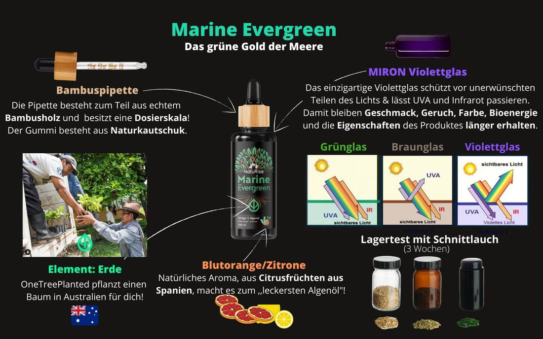 Omega3 Algenöl (100ml)