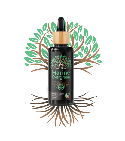 Omega-3 Algenöl (100ml)